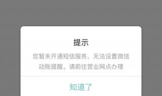 谁能告诉我农业银行的企业网银为啥打不开