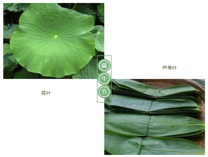 世界杯官方网页版医纺