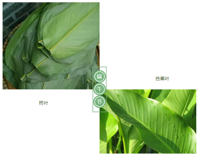 世界杯官方网页版医纺