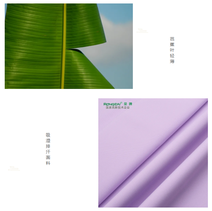 世界杯官方网页版医纺