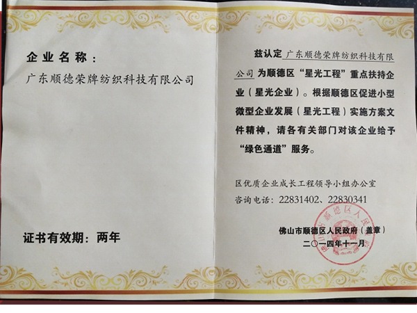 世界杯官方网页版荣获政府重点扶持企业